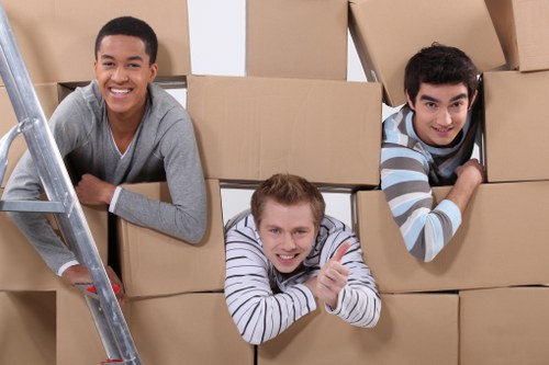 Professional man and van helping with a local relocation